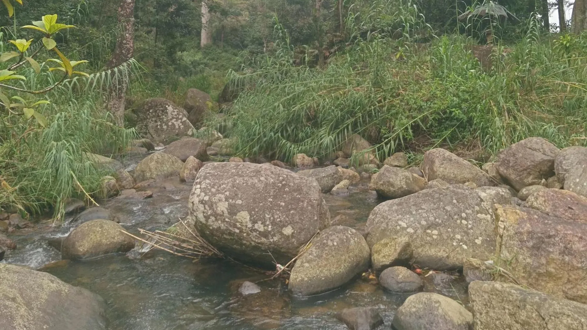Rock View Holiday Bungalow Matale Πανσιόν