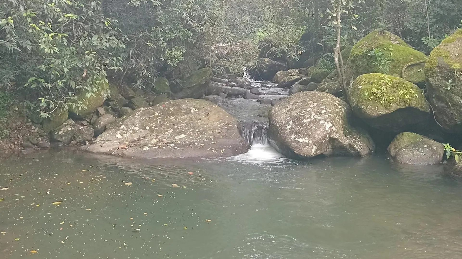 Rock View Holiday Bungalow Matale 0*,
